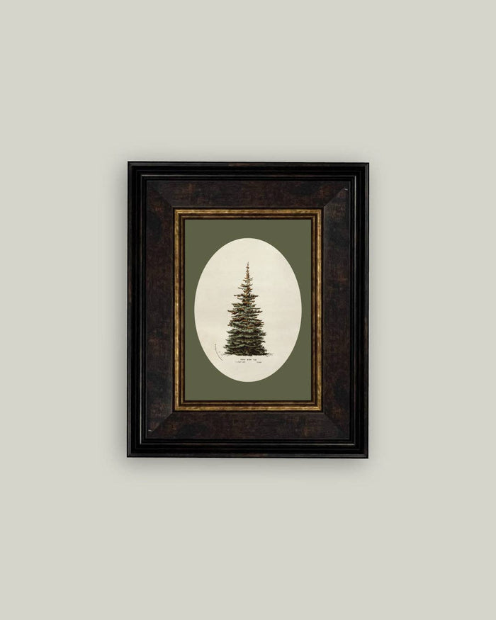Oval Matte Tree Framed Antique Art -7x9