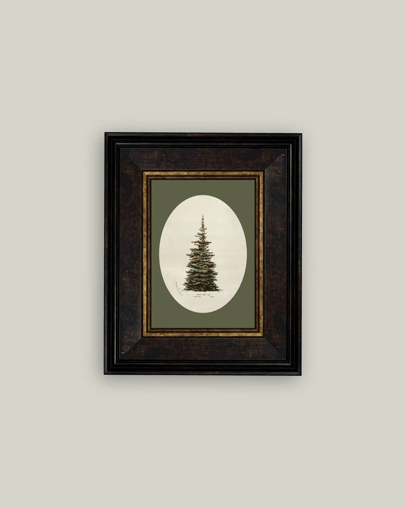Oval Matte Tree Framed Antique Art -7x9