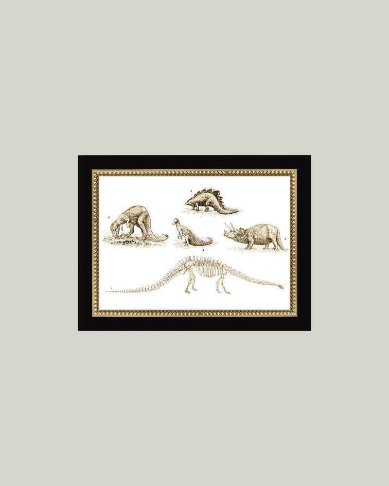 Dinosaur Discoveries Framed Antique Art