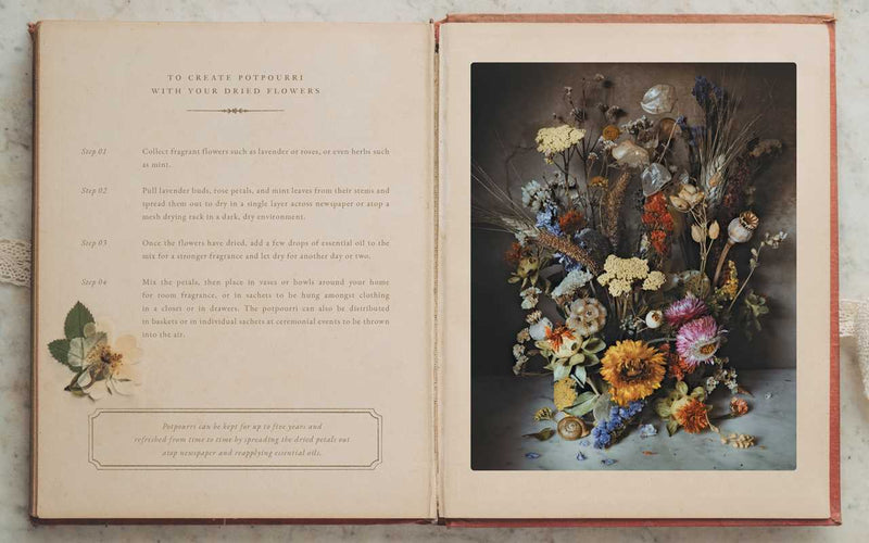 Flowers of Provence by Jamie Beck