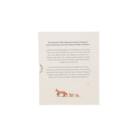 Our Little Adventures Box Set for Kids