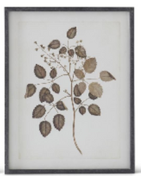 Black Wood Framed Botanical Print