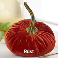 Large Velvet Pumpkins