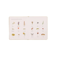Our Little Adventures Box Set for Kids