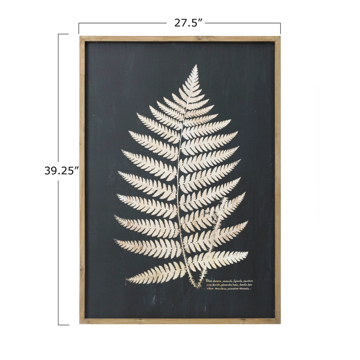 Framed Wall Decor with Fern Leaf