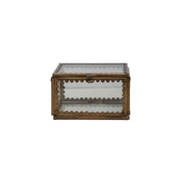 Brass & Glass Display Box w/Scalloped Edge