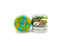 Grab & Go Sensory Dough Jar