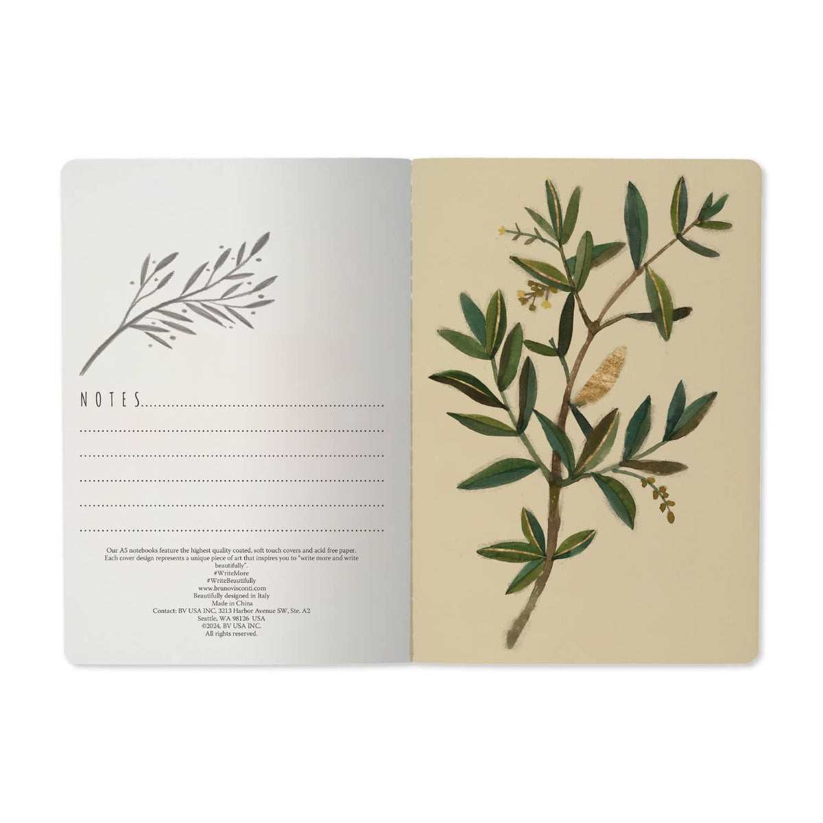Olive Branch Notebook