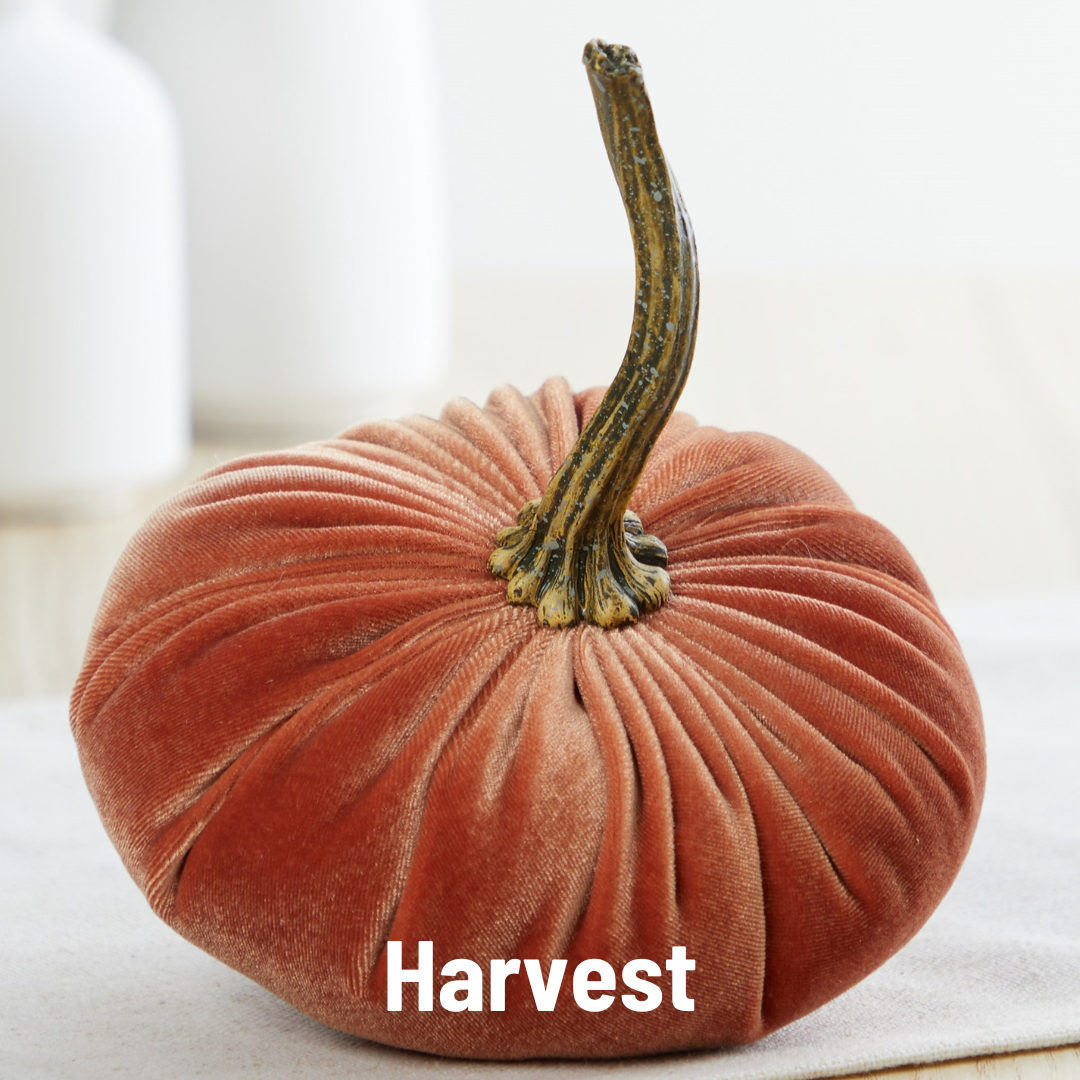 Small Velvet Pumpkins