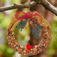 Rustic Birdseed Grapevine Wreath - 6"