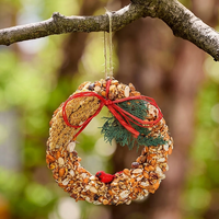Rustic Birdseed Grapevine Wreath - 6"