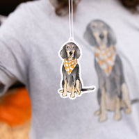 Bluetick Coonhound Sitting Air Freshener