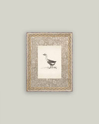 Single Goose Framed Antique Art - 8x10