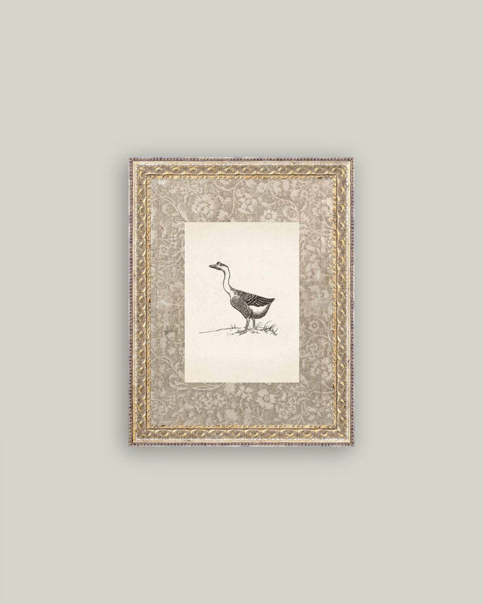 Single Goose Framed Antique Art - 8x10