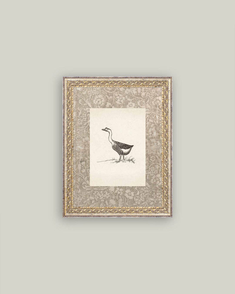 Single Goose Framed Antique Art - 8x10