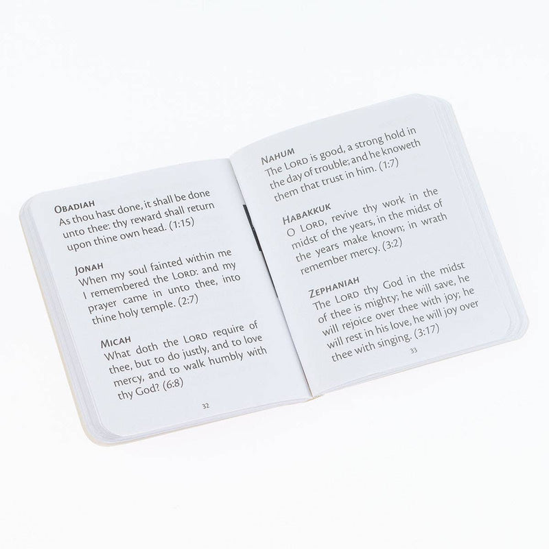 My Little Bible - Pocket Size