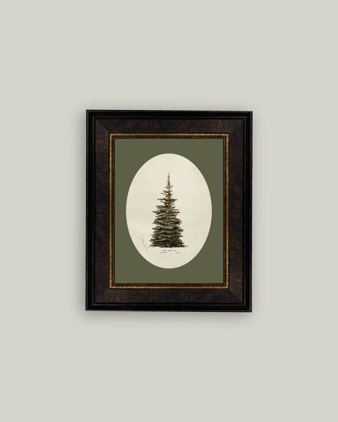 Oval Matte Tree Framed Antique Art -7x9