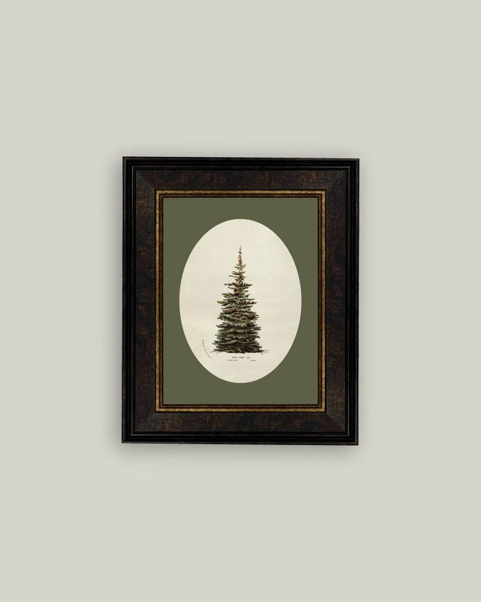 Oval Matte Tree Framed Antique Art -7x9