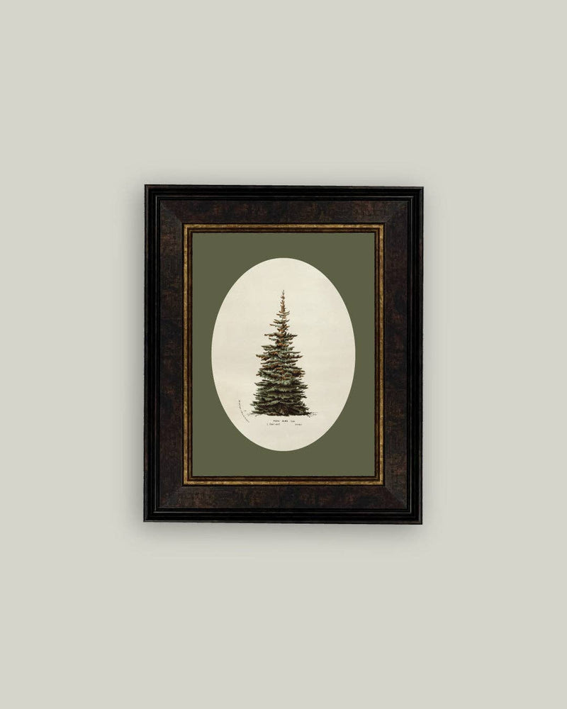 Oval Matte Tree Framed Antique Art -7x9
