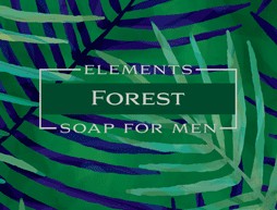 Men's Mini Wrapped Soaps