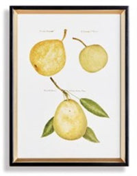 Assorted Fruits Study