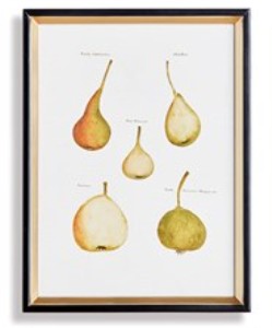 Assorted Fruits Study