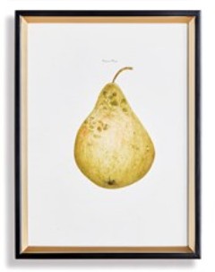 Assorted Fruits Study