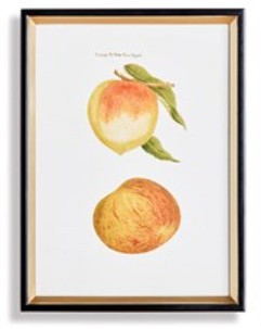 Assorted Fruits Study