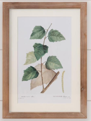 Botanical Green Leaves Framed Prints