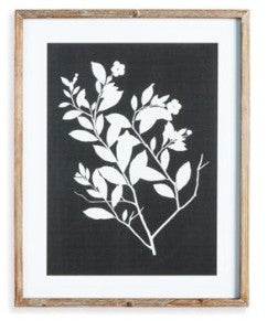 Monochrome Botanical Prints