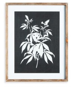 Monochrome Botanical Prints