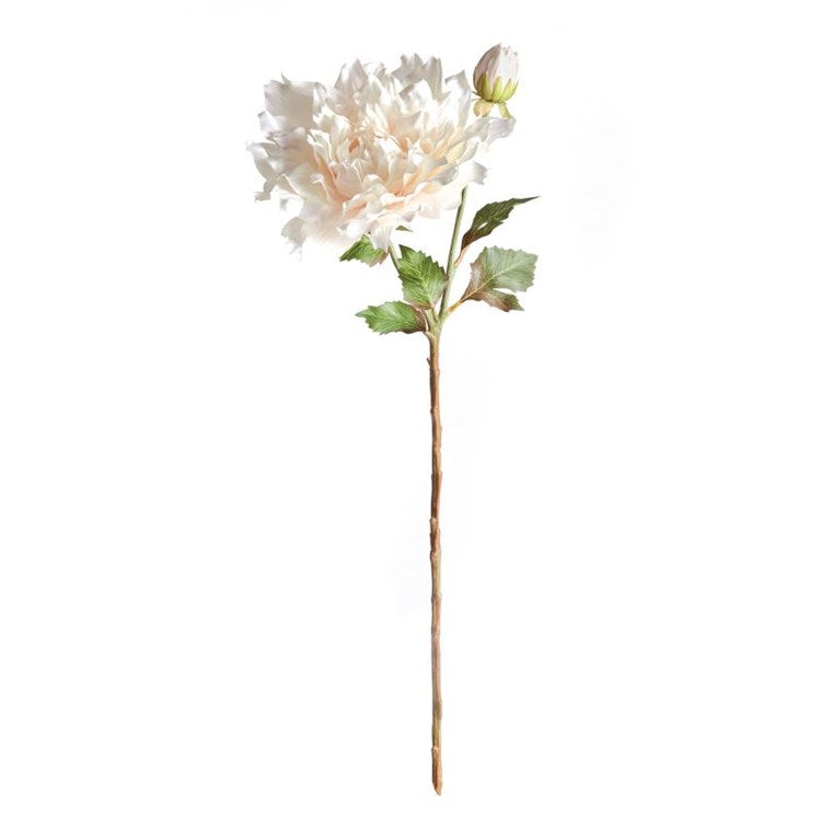 Dahlia Stem - Cream 21.5"
