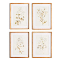 Fleur De Blanc Prints