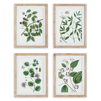 Verdant Branch Prints