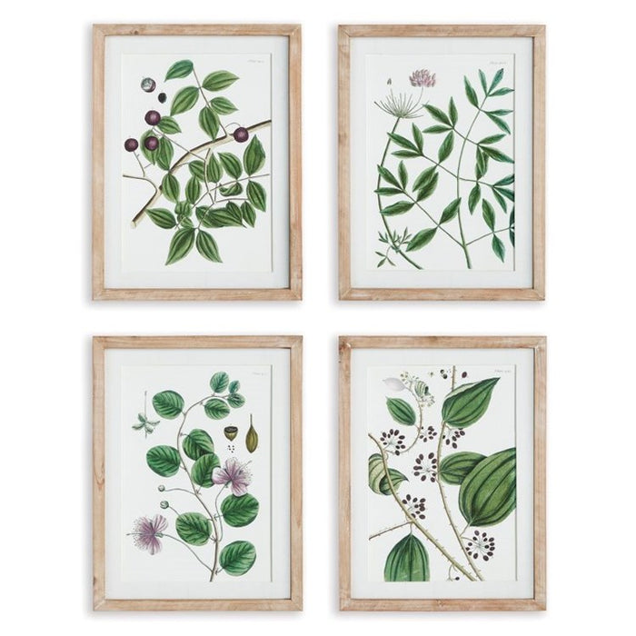 Verdant Branch Prints