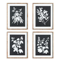 Monochrome Botanical Prints