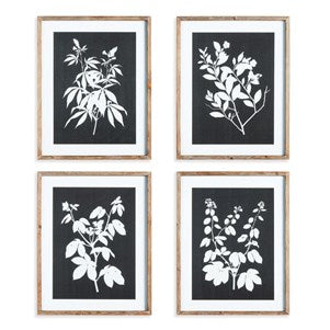 Monochrome Botanical Prints