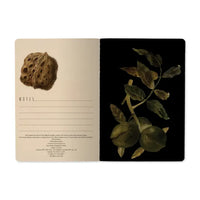 Night Garden Notebook