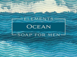 Men's Mini Wrapped Soaps