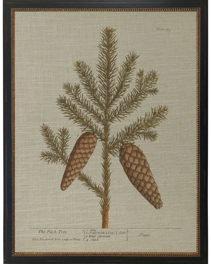 Pitch Pine Bookplate - 12x16