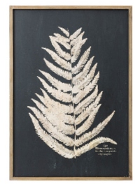 Framed Wall Decor with Fern Leaf