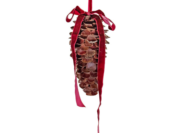 Cone Scale Ornament