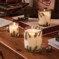Frasier Fir Pine Needle Collection
