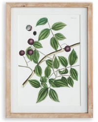 Verdant Branch Prints