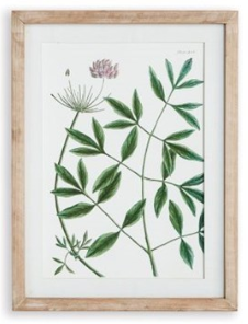 Verdant Branch Prints