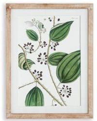 Verdant Branch Prints