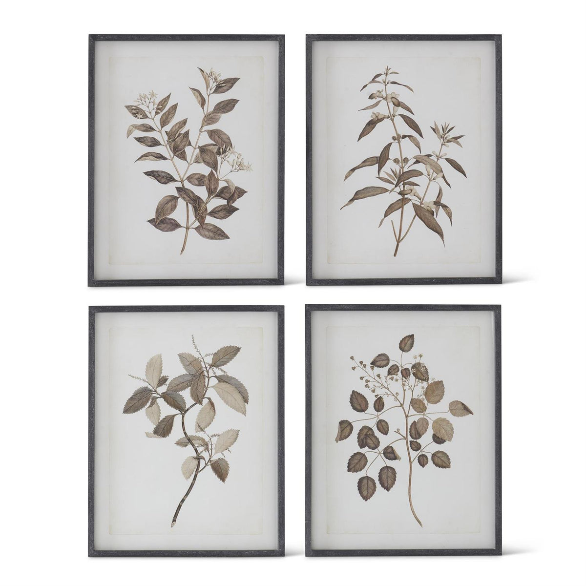 Black Wood Framed Botanical Print