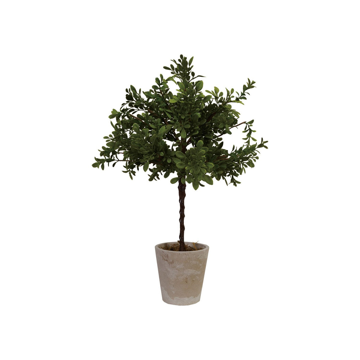 8" Round x 20"H Faux Boxwood Tree with Moss in Paper Pot