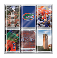 Florida Gators Chocolate Iconics