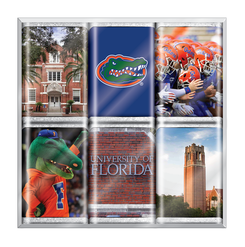 Florida Gators Chocolate Iconics